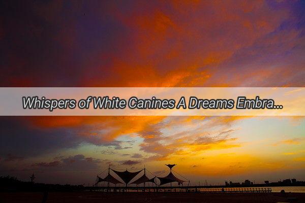 Whispers of White Canines A Dreams Embrace That Speaks Volumes of Solace